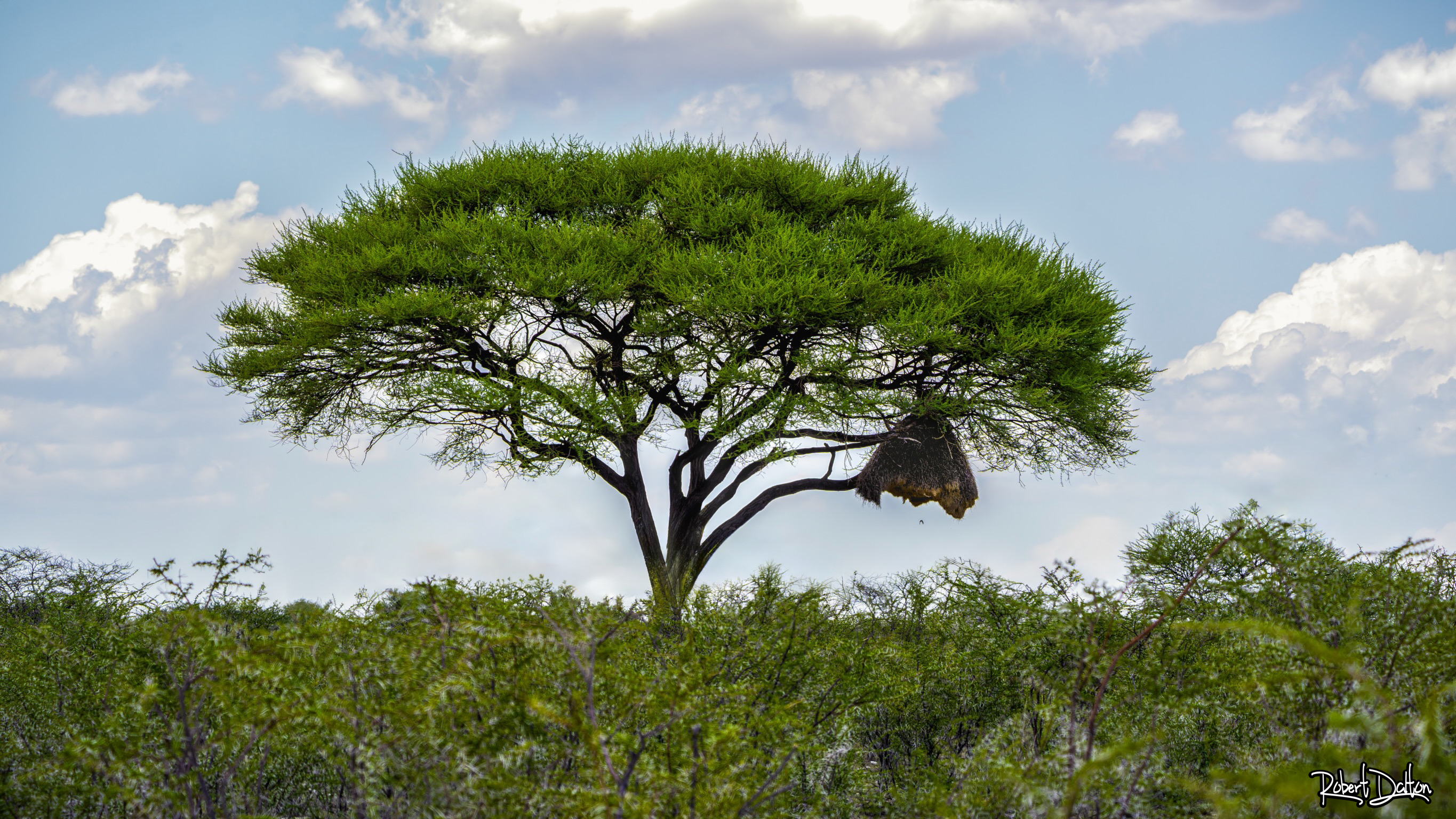 Willkommen im Etoscha-Nationalpark