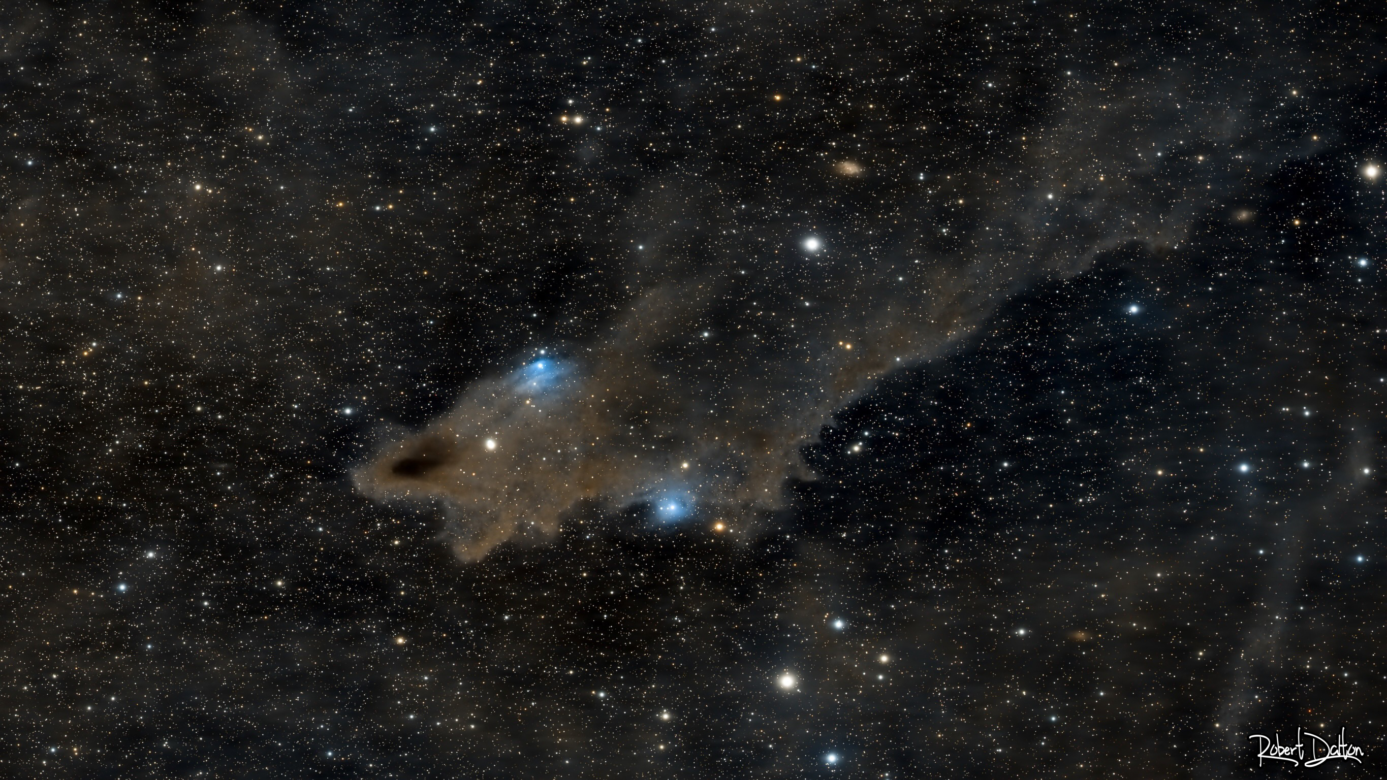 Der Hai-Nebel ( LDN 1235 )