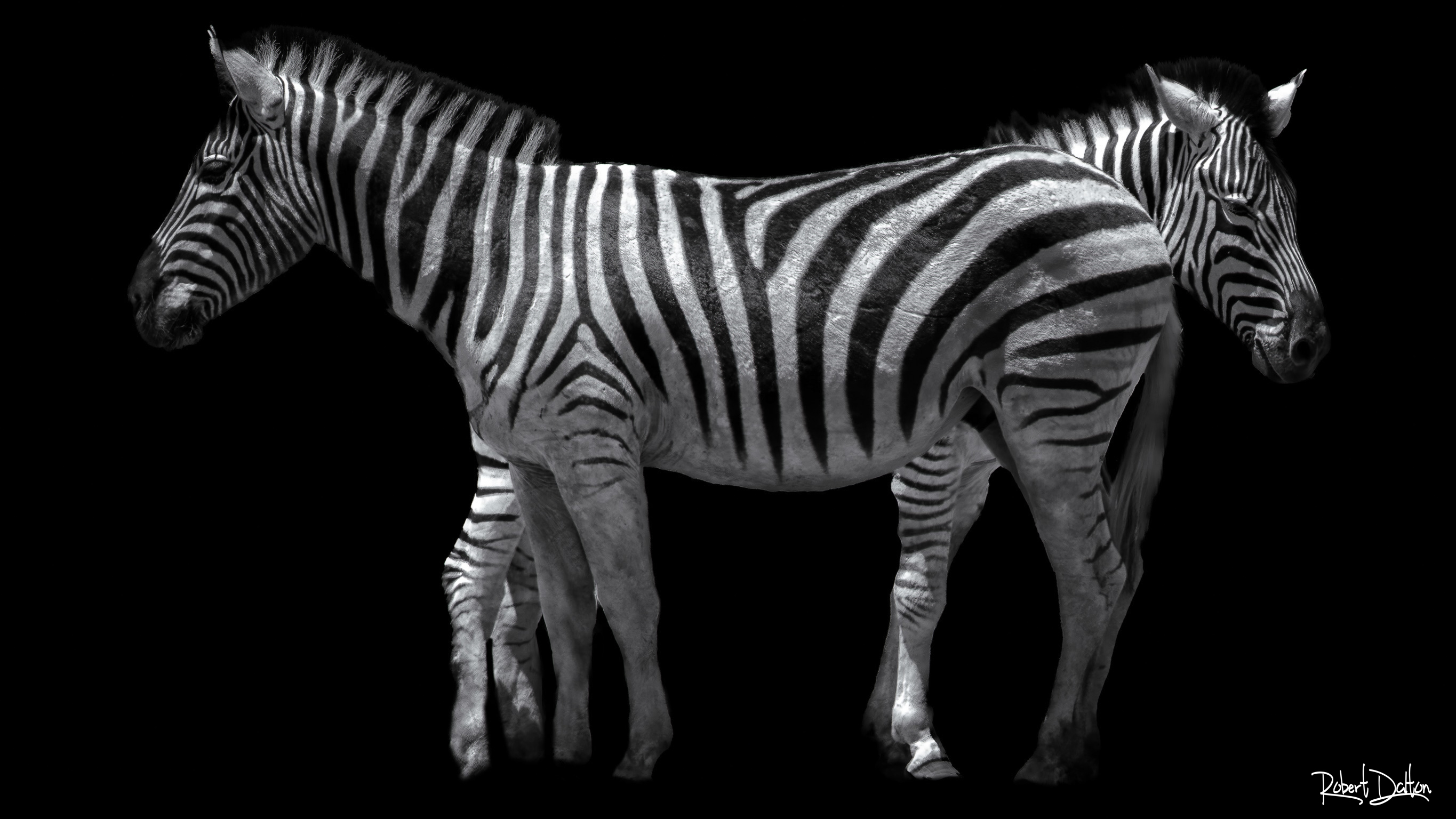 Rückseite zu Vorderseite