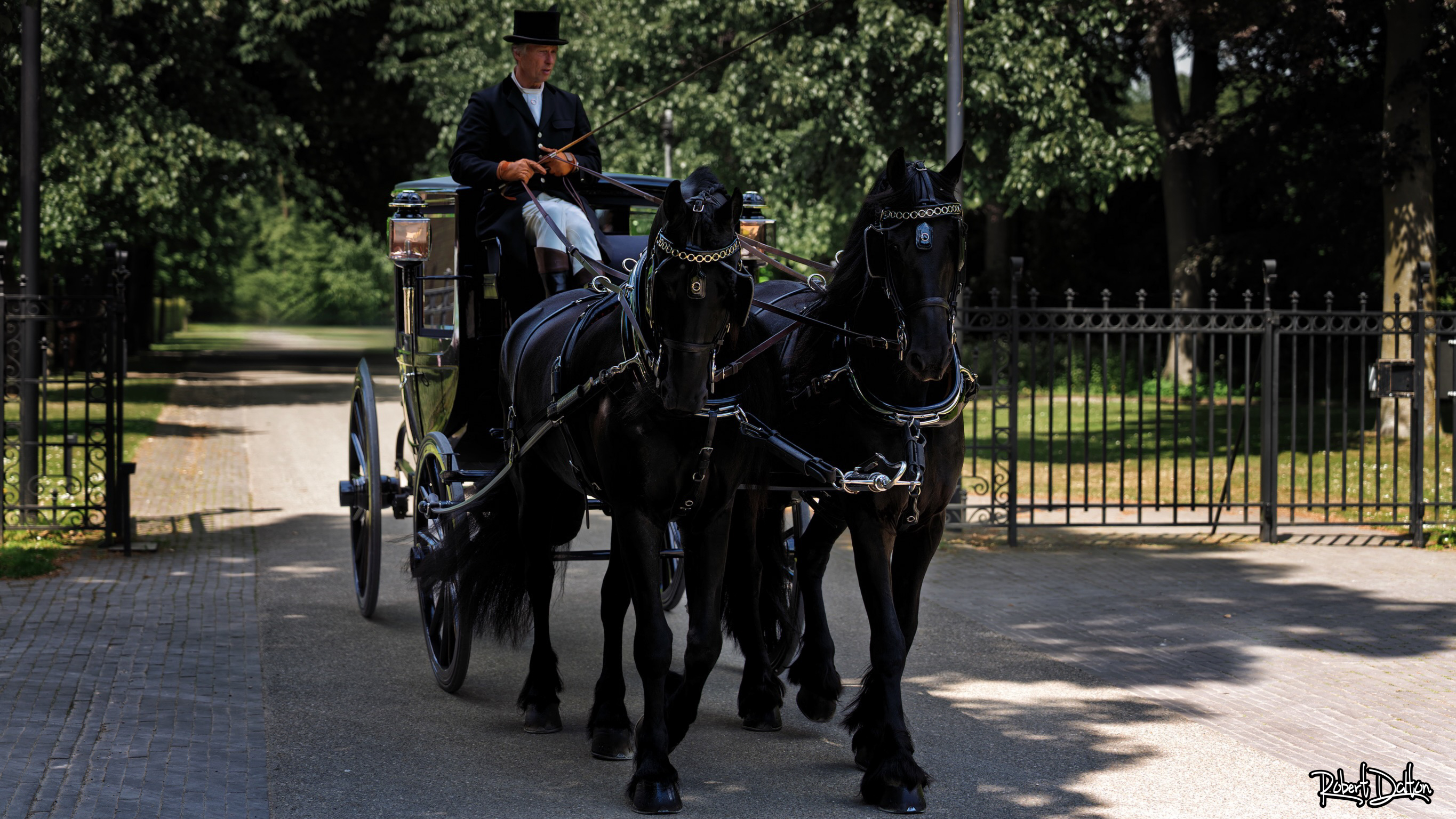 Die schwarzen Pferde