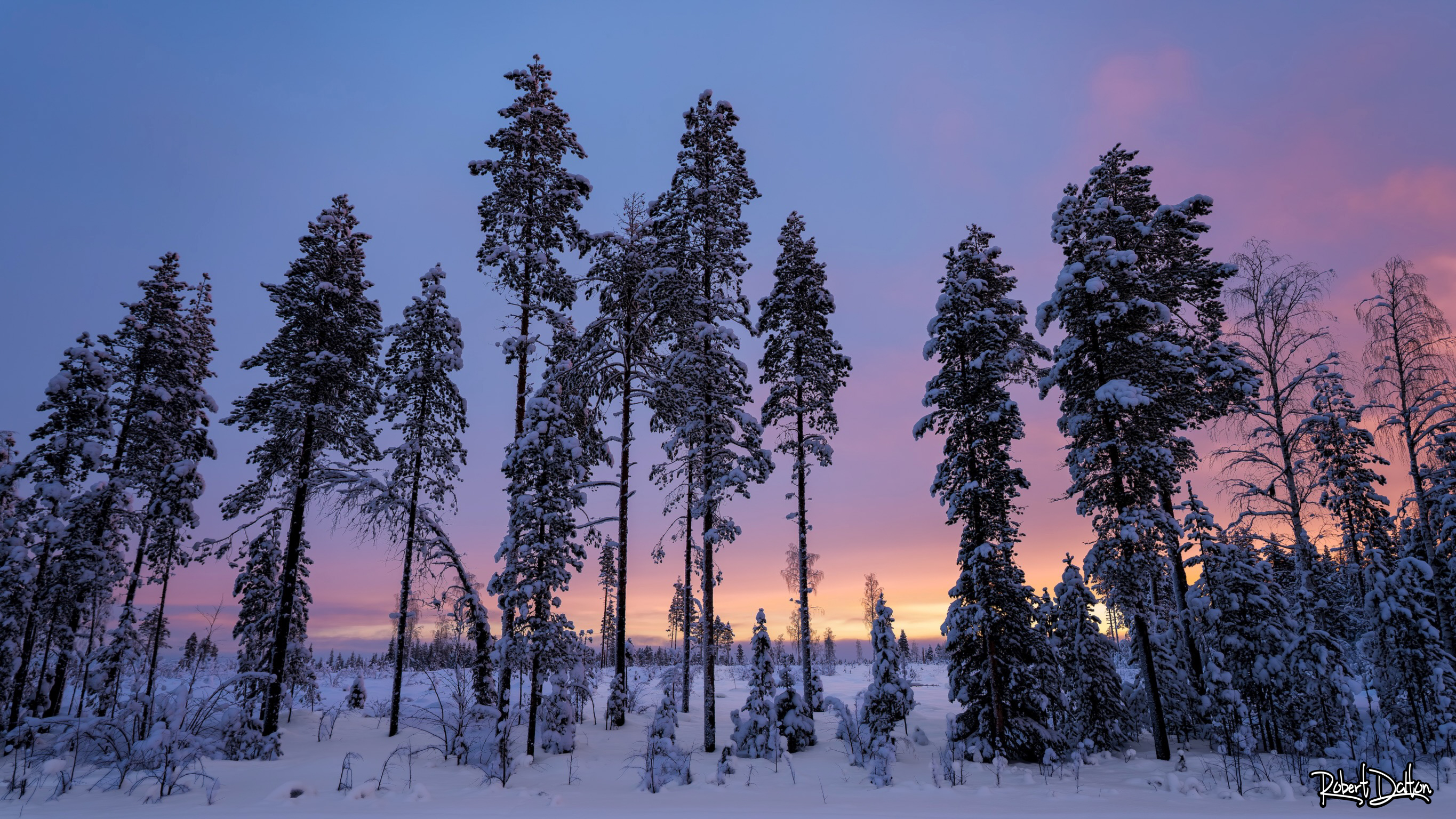 Sonnenaufgang in Schweden