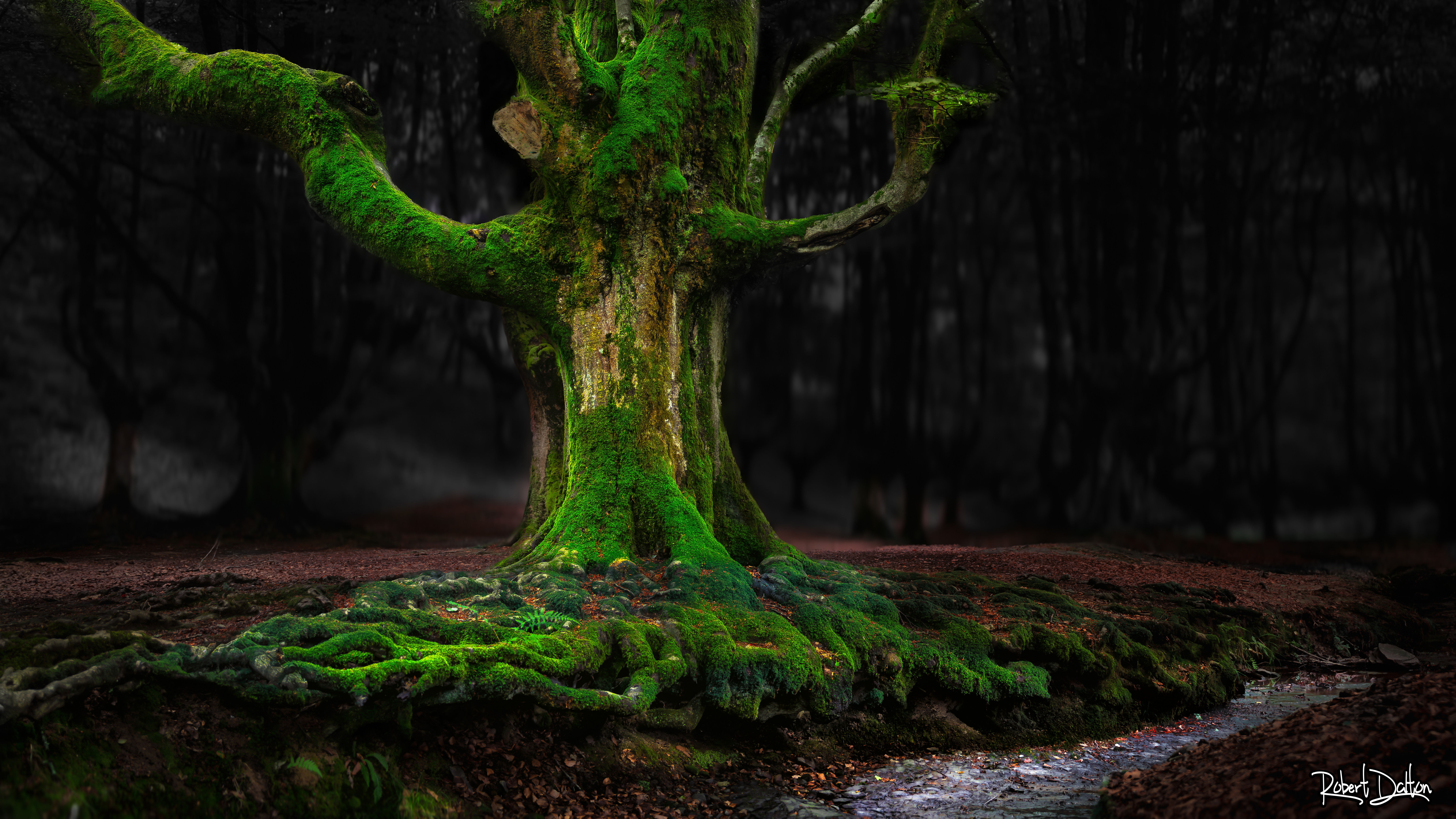 Gorbeia Natur Park