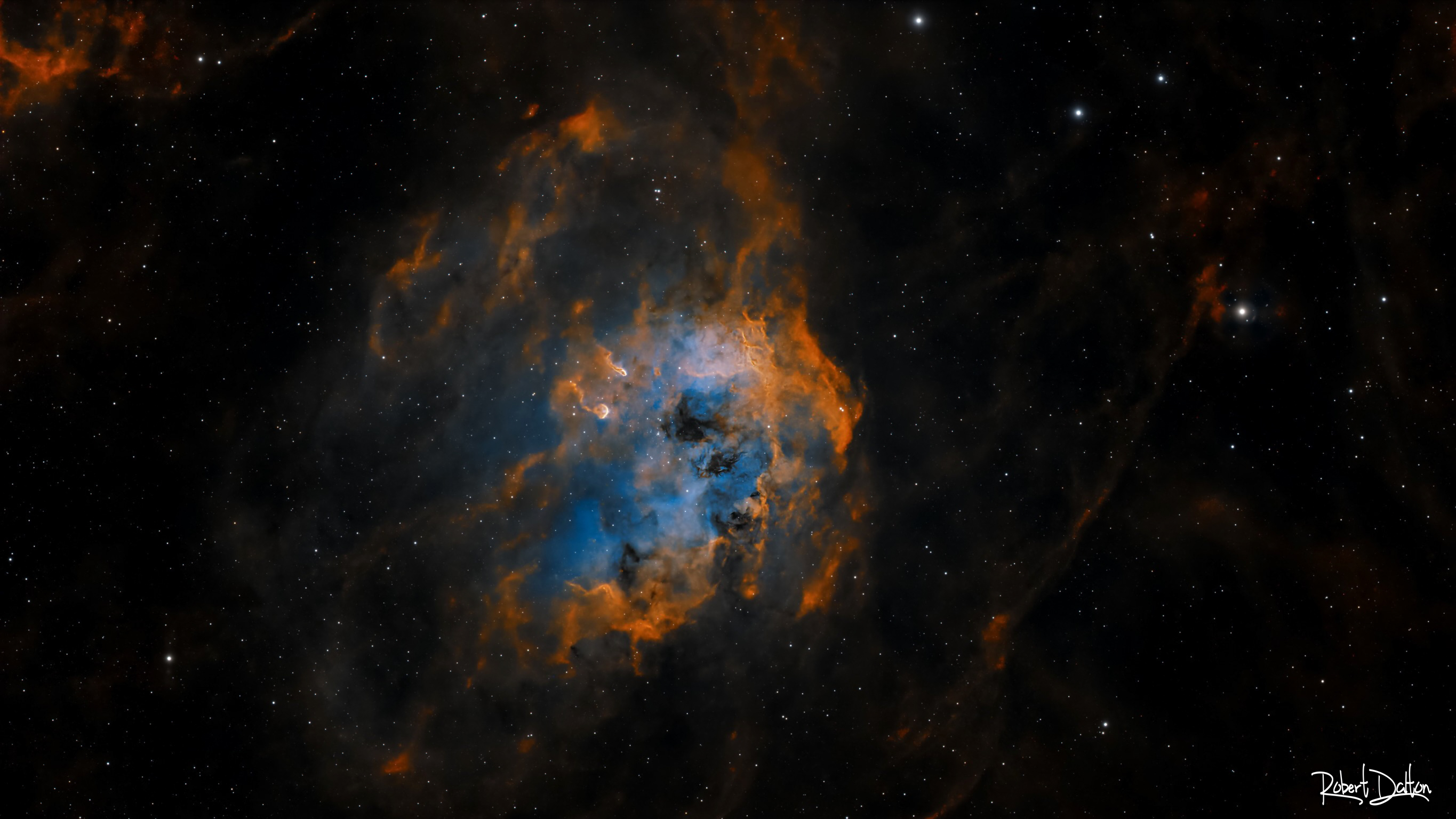 (IC-410) Sternbildender Kaulquappennebel