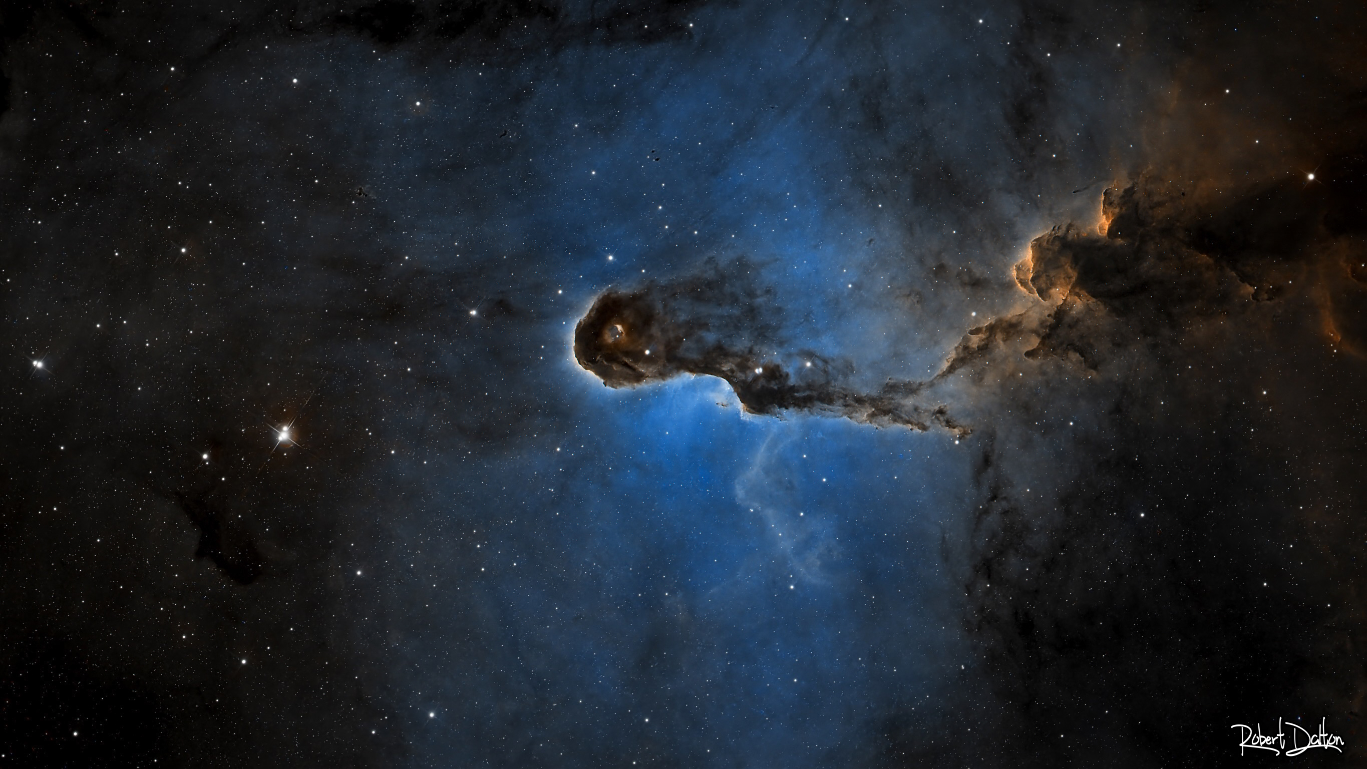 Elefantenrüsselnebel