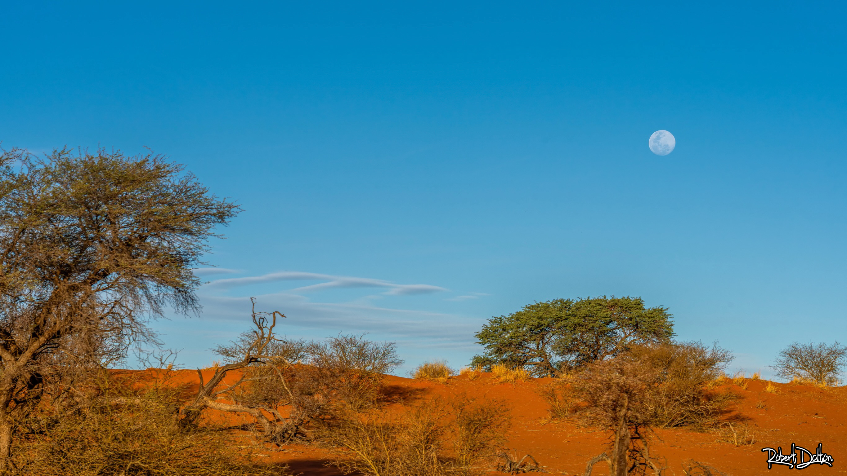 Kalahari Vollmond