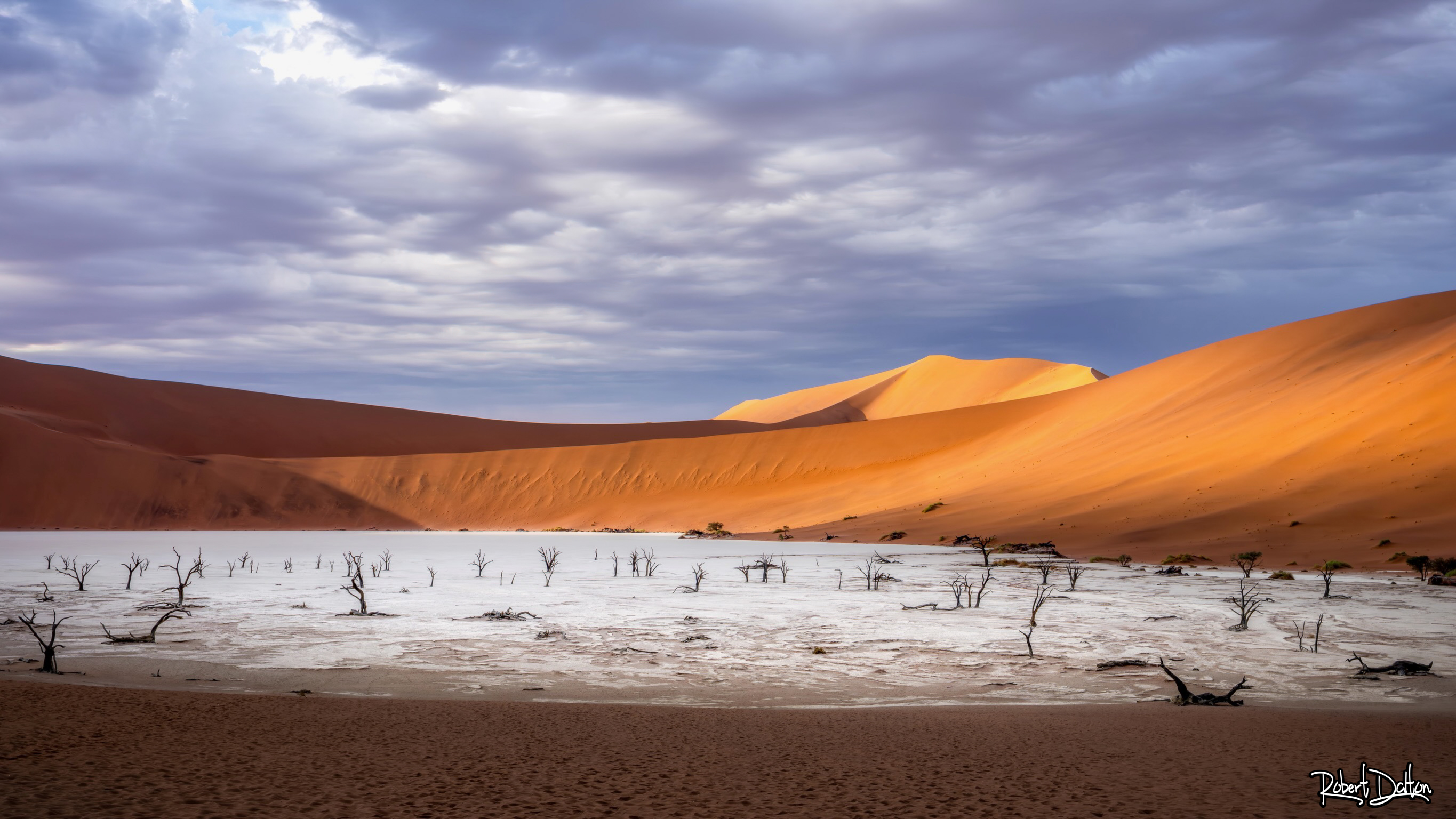 Herzlich willkommen im Deadvlei