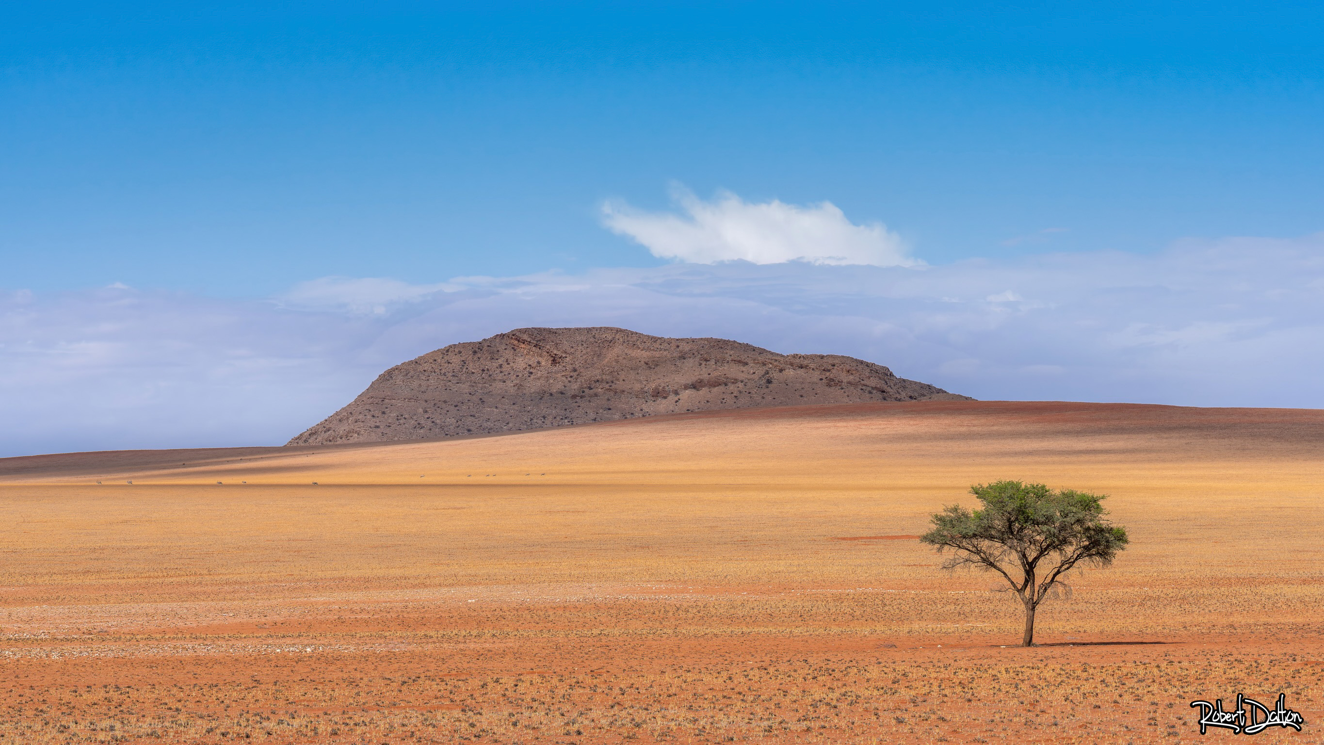 Straße nach Swakopmund