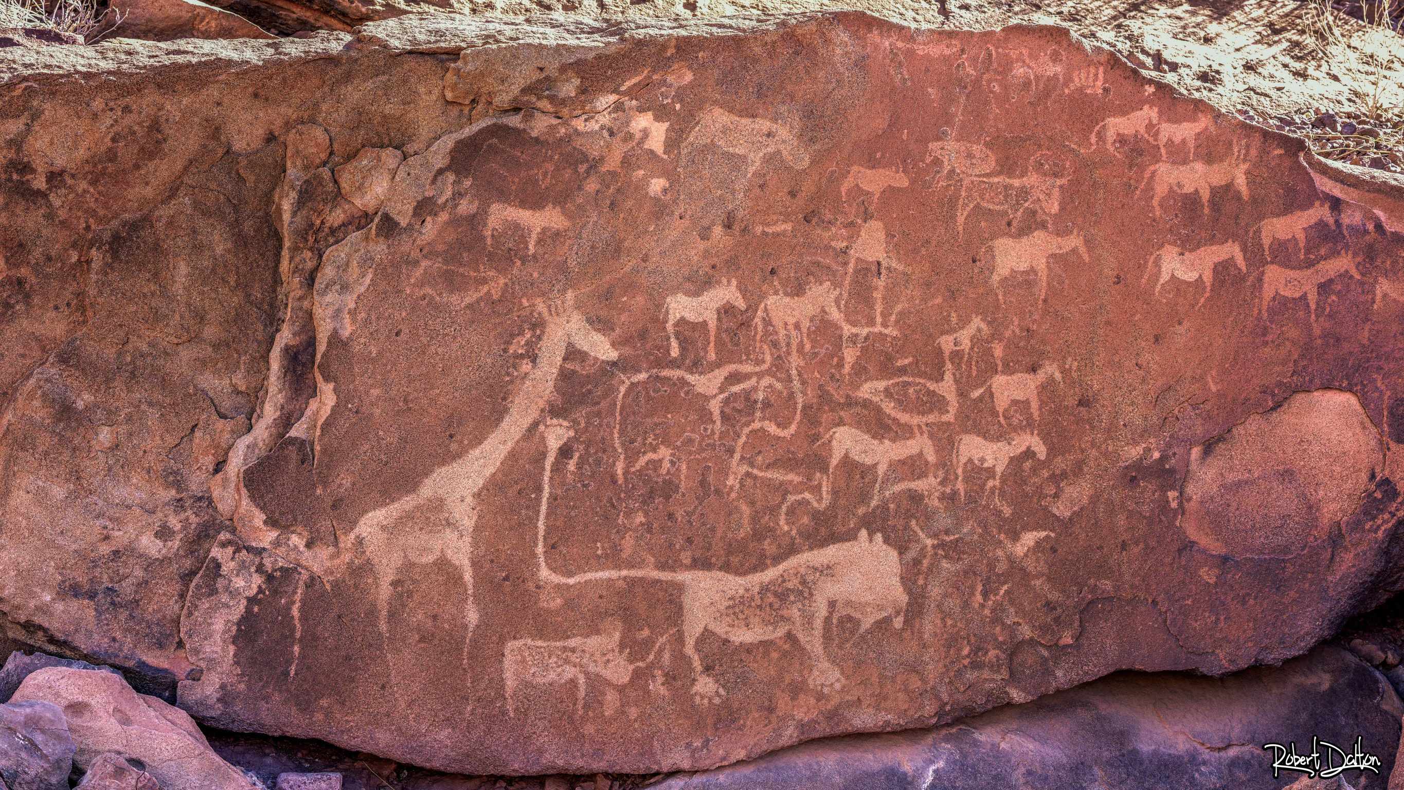 Petroglyphen in Twylfenfontein