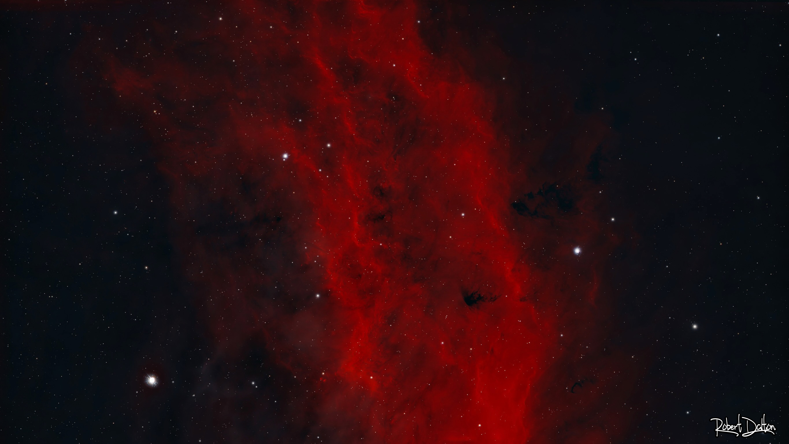 Der Kaliforniennebel