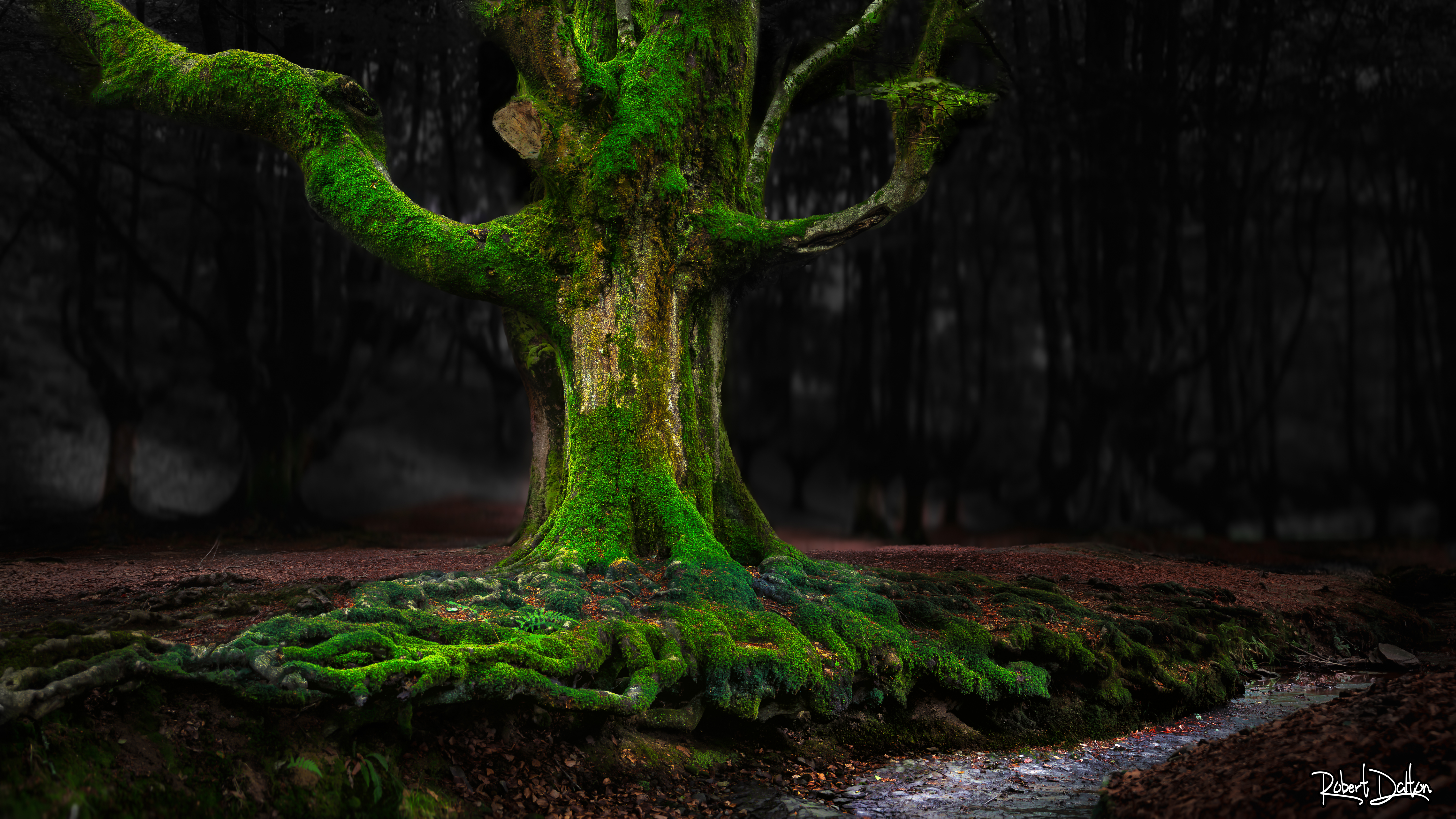 Gorbeia Natur Park